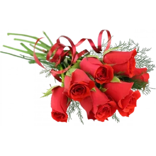 🌹 emoji @sticksbb 🩷 <- канал со стиками Telegram sticker 1 of 45