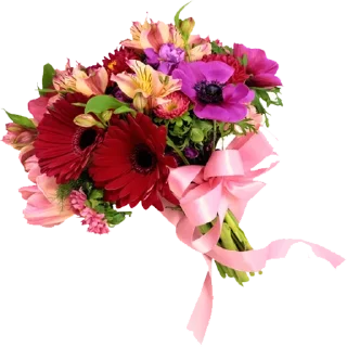 🌹 emoji @sticksbb 🩷 <- канал со стиками Telegram sticker 18 of 45