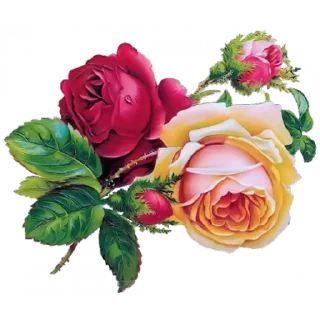 🌹 emoji @sticksbb 🩷 <- канал со стиками Telegram sticker 14 of 45
