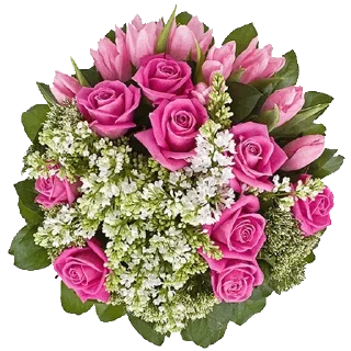 🌹 emoji @sticksbb 🩷 <- канал со стиками Telegram sticker 22 of 45