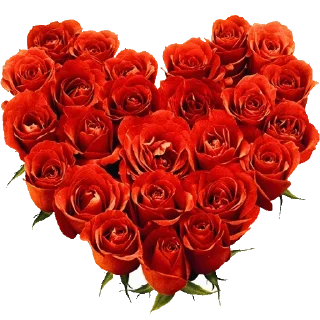 🌹 emoji @sticksbb 🩷 <- канал со стиками Telegram sticker 20 of 45