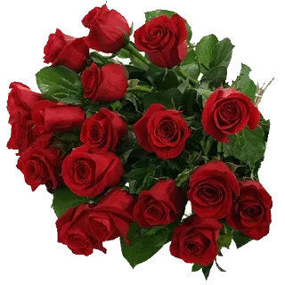 🌹 emoji @sticksbb 🩷 <- канал со стиками Telegram sticker 17 of 45