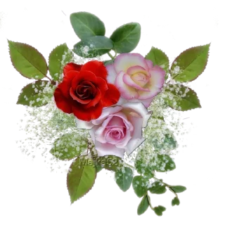🌹 emoji @sticksbb 🩷 <- канал со стиками Telegram sticker 15 of 45