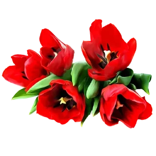 🌹 emoji @sticksbb 🩷 <- канал со стиками Telegram sticker 10 of 45