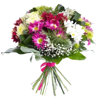 🌹 emoji @sticksbb 🩷 <- канал со стиками Telegram sticker 21 of 45