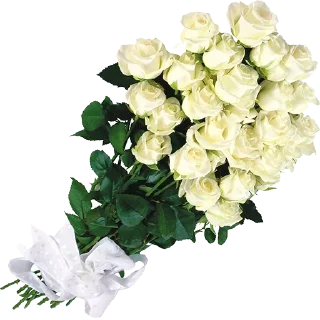 🌹 emoji @sticksbb 🩷 <- канал со стиками Telegram sticker 13 of 45
