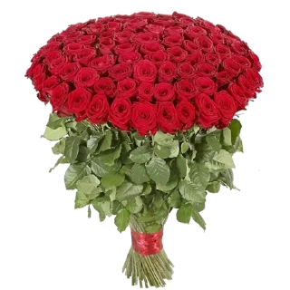 🌹 emoji @sticksbb 🩷 <- канал со стиками Telegram sticker 9 of 45