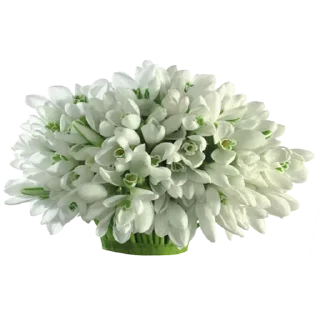 🌹 emoji @sticksbb 🩷 <- канал со стиками Telegram sticker 11 of 45