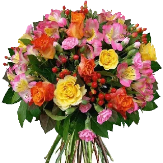 🌹 emoji @sticksbb 🩷 <- канал со стиками Telegram sticker 23 of 45