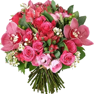 🌹 emoji @sticksbb 🩷 <- канал со стиками Telegram sticker 24 of 45