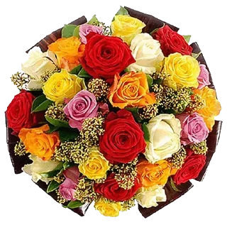 🌹 emoji @sticksbb 🩷 <- канал со стиками Telegram sticker 16 of 45