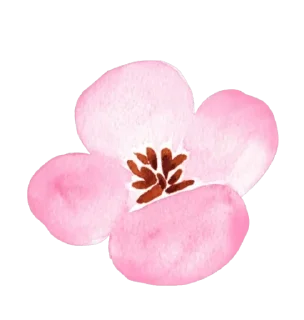 🌸 emoji My home2 — @stckrRobot Telegram sticker 8 of 114
