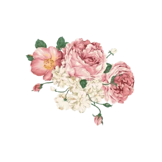 🌸 emoji My home2 — @stckrRobot Telegram sticker 21 of 114