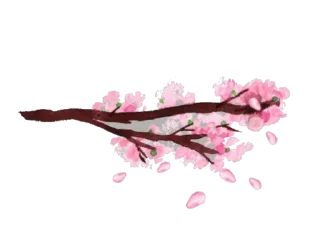 🌷 emoji My home2 — @stckrRobot Telegram sticker 9 of 114