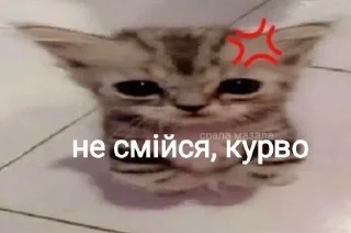 Sticker from циця