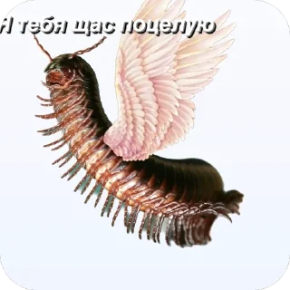 🫥 emoji Сороконожки захватит мир Telegram sticker 12 of 14