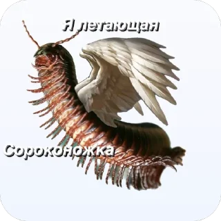 🫥 emoji Сороконожки захватит мир Telegram sticker 14 of 14