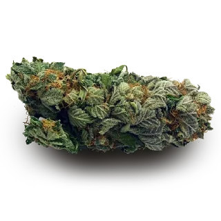 🍁 emoji чвк ст pack by @QuotLyBot Telegram sticker 7 of 120