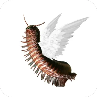 🫥 emoji Сороконожки захватит мир Telegram sticker 7 of 14