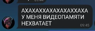 Sticker from Стикеры от таксиков