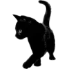 Sticker from Black эстетика @Kos_StFD @TgEmodziBot