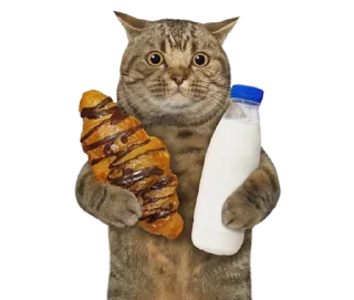 ❣ emoji свет мяу и эйфория Telegram sticker 19 of 120