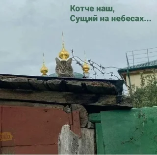 Sticker from Что это?