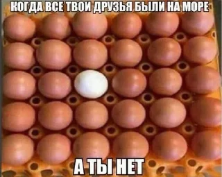 Sticker from Что это?