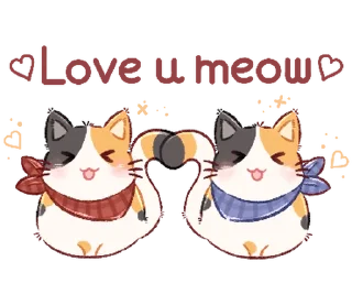 🐈 emoji ₍ 𑀝ɦᥲᴛɦᥲi ᥴᥙᴛᥱ ᥴᥲᴛ ⲙᥱ᧐ᥕ ₎ ˚₊· ♡ @mewsticks Telegram sticker 13 of 24
