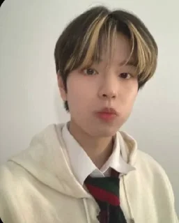 Sticker from Stray kids