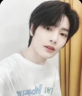Sticker from Stray kids