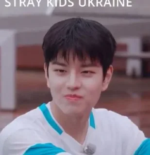 😑 emoji Stray kids by Ukraine 2 :: @ifusickme Telegram sticker 21 of 83