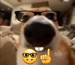 🌟 emoji Полина правит миром Telegram sticker 9 of 15