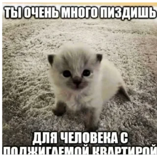 Sticker from Я ебал