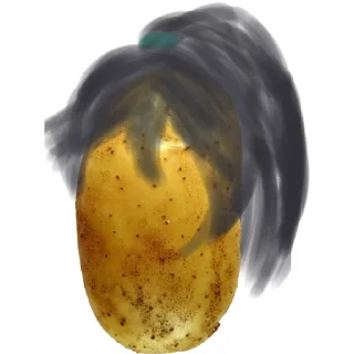 🥔 emoji ~hong lu~ Telegram sticker 24 of 29