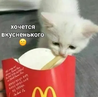 😕 emoji kittenlove💗 Telegram sticker 15 of 26