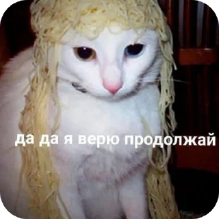 🐱 emoji Котеке Telegram sticker 6 of 45
