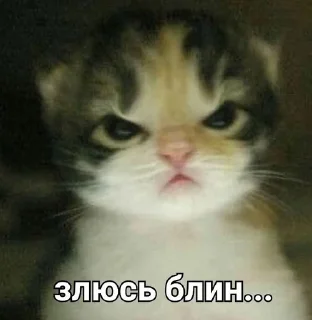😡 emoji kittenlove💗 Telegram sticker 8 of 26