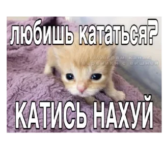 Sticker from Котеке