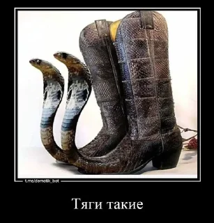 Sticker from Тяги бархатные