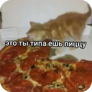 🍲 emoji Котеке Telegram sticker 10 of 45