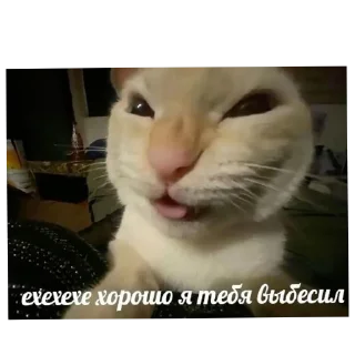 🐱 emoji Котеке Telegram sticker 8 of 45