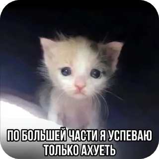 Sticker from Котеке