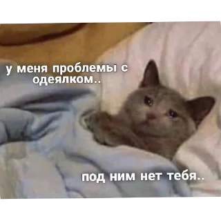 🐱 emoji Котеке Telegram sticker 14 of 45