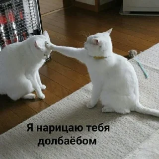 Sticker from на все случаи жизни