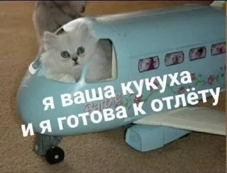 Sticker from на все случаи жизни