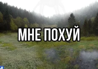 💊 emoji ну типа саси пон Telegram sticker 12 of 26