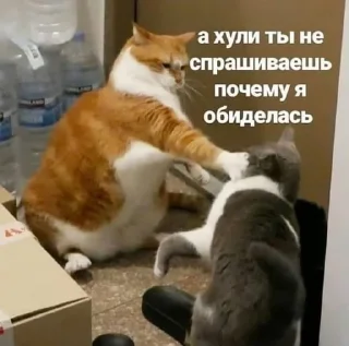 Sticker from Купердур