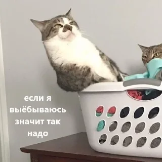 Sticker from Купердур