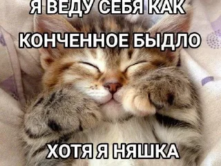 💊 emoji ну типа саси пон Telegram sticker 20 of 26
